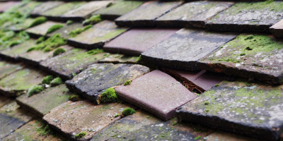 Great Burstead roof repair costs